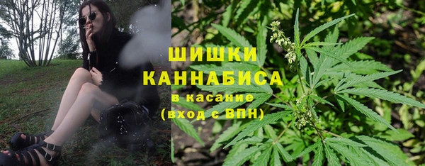 гидропоника Богородск