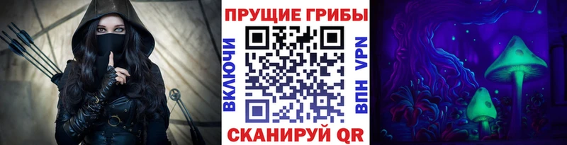 hydra ССЫЛКА  что такое наркотик  Сланцы  Галлюциногенные грибы Psilocybe 